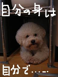 画像 534.jpg