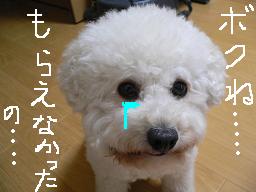 コピー 〜 画像 642.jpg