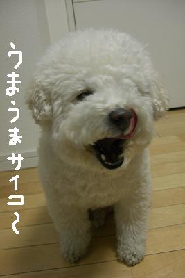 画像 011.jpg