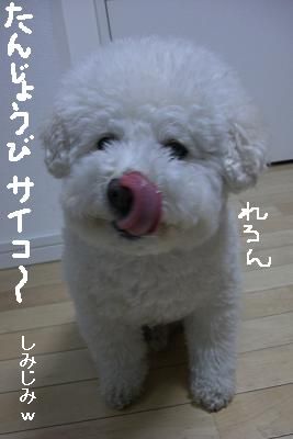 画像 012.jpg