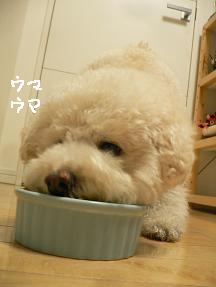 画像 10131.jpg