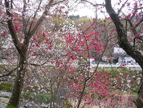 画像 10338.jpg