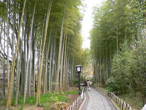 画像 10343.jpg