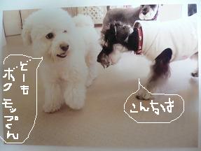 画像 10353.jpg