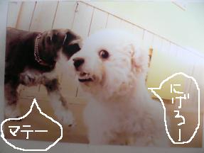 画像 10354.jpg