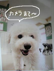 画像 10355.jpg