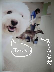 画像 10356.jpg