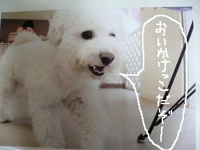 画像 10357.jpg