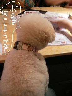 画像 11030.jpg