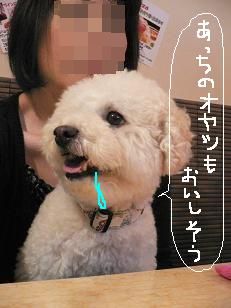 画像 11034.jpg