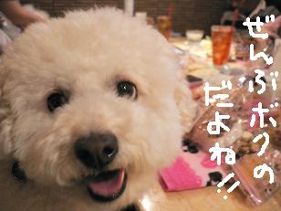 画像 11039.jpg
