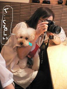 画像 11041.jpg