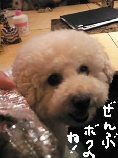 画像 11043.jpg