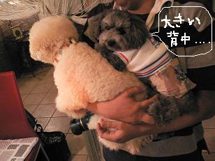 画像 11068.jpg
