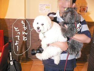 画像 11075.jpg