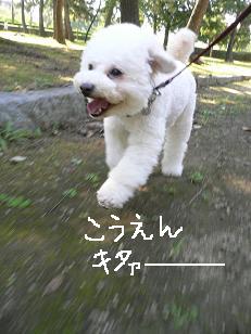 画像 11677.jpg