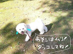 画像 11678.jpg