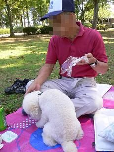 画像 11680.jpg