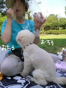 画像 11681.jpg