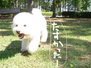 画像 11682.jpg