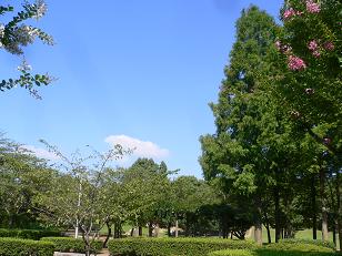 画像 11683.jpg