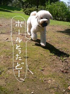 画像 11685.jpg