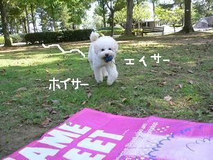 画像 11686.jpg