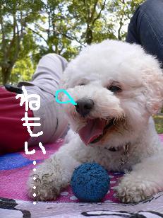 画像 11689.jpg