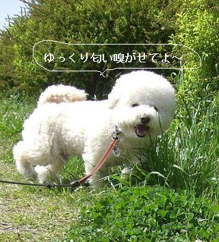 画像 1173.jpg