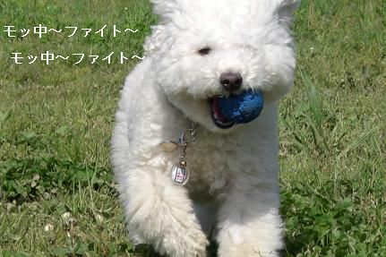 画像 1179.jpg