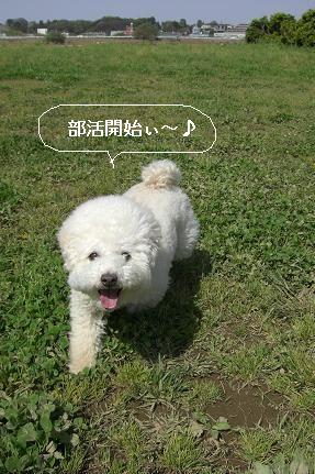 画像 1185.jpg