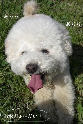 画像 1187.jpg