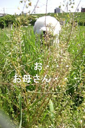 画像 1188.jpg