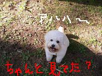 画像 1193.jpg