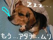 画像 1205.jpg