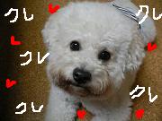 画像 1211.jpg