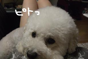 画像 12112.jpg