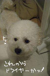 画像 12255.jpg