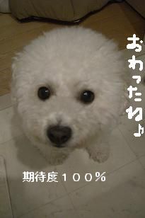 画像 12256.jpg