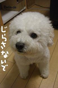 画像 12258.jpg