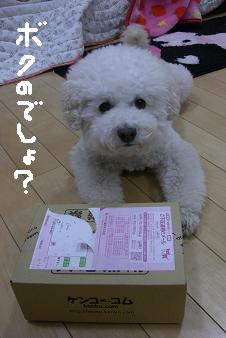 画像 12559.jpg
