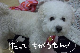 画像 12564.jpg