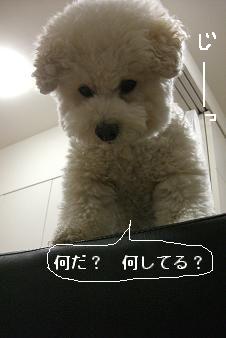 画像 12566.jpg
