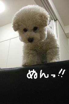画像 12567.jpg