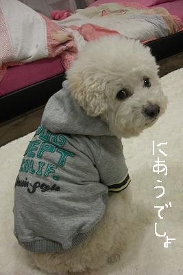 画像 163.jpg