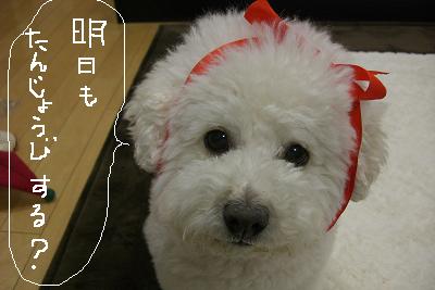 画像 165.jpg