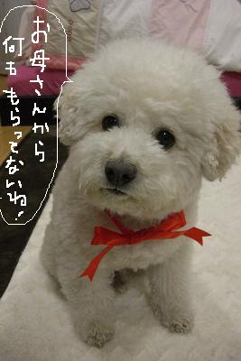 画像 166.jpg