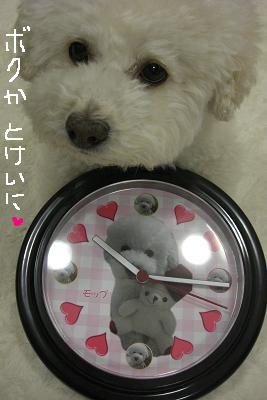 画像 167.jpg