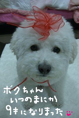 画像 168.jpg