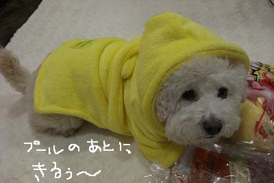 画像 173.jpg